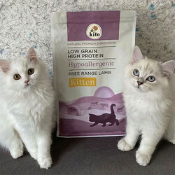 Kito Doğal Besi Kuzu Etli Yavru Kedi Maması 2 Kg - Thumbnail