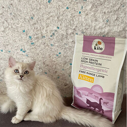 Kito Doğal Besi Kuzu Etli Yavru Kedi Maması 2 Kg - Thumbnail