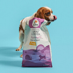 Kito Doğal Besi Kuzu Etli Yavru Köpek Maması 2,5 Kg - Thumbnail