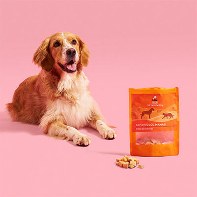 Kito Dondurularak Kurutulmuş Somonlu Köpek Ödülü 30 Gr 