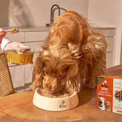 Kito Fresh Kuzu Etli Hipoalerjenik Taze Köpek Yemeği 250 Gr - Thumbnail