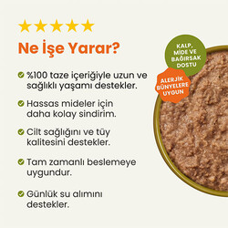 Kito Fresh Tavuk Etli Hipoalerjenik Taze Kedi Yemeği 80 Gr - Thumbnail