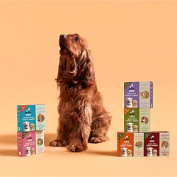 Kito Fresh Tavuk Etli Hipoalerjenik Taze Köpek Yemeği 250 Gr - Thumbnail