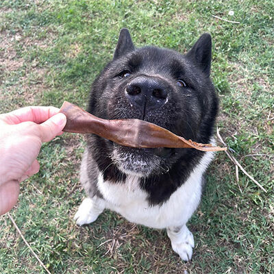 Kito Kurutulmuş Dana Kelle Derisi Köpek Ödülü 100 Gr 