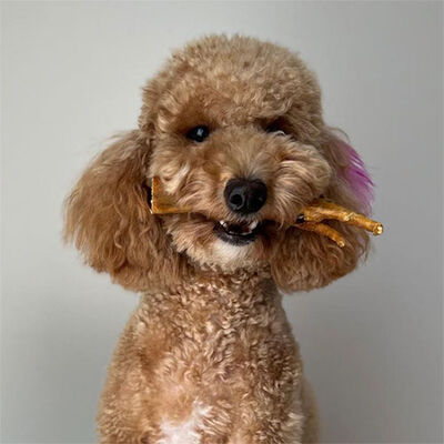 Kito Kurutulmuş Horoz Ayak Köpek Ödülü 100 Gr 