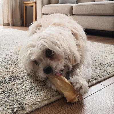 Kito Kurutulmuş Kuzu Kulak Köpek Ödülü 100 Gr 