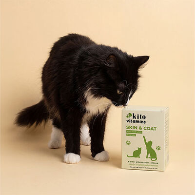 Kito Skin Coat Tüy Sağlığını Destekleyici Kedi Multivitamini 50 ml 