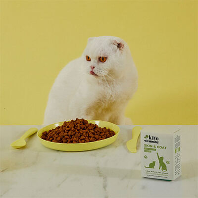 Kito Skin Coat Tüy Sağlığını Destekleyici Kedi Multivitamini 50 ml 