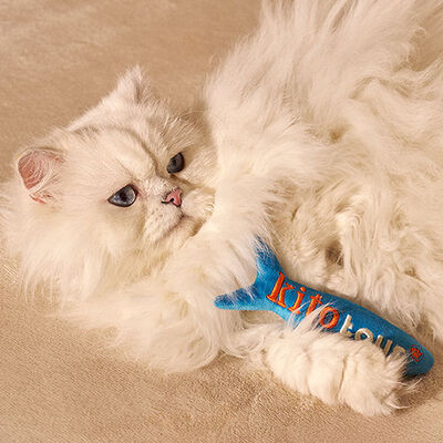Kito Toys Balık Peluş Kedi Oyuncağı 