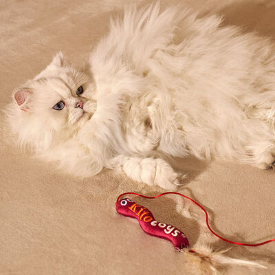 Kito Toys Solucan Peluş Kedi Oyuncağı 