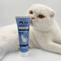 Kito Tüy Yumağı Önleyici ve Sindirim Sistemi Destekleyici Kısır ve Yetişkin Kedi Malt Macunu 100 Gr - Thumbnail