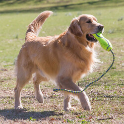 Kong Air Dog Fetch Stik İpli Köpek Oyuncağı Large - Thumbnail
