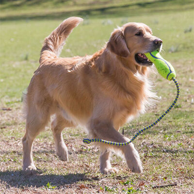 Kong Air Dog Fetch Stik İpli Köpek Oyuncağı Large 
