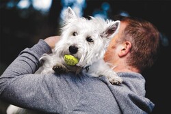 Kong Air Squeaker Sesli Tenis Topu Köpek Oyuncağı Small 5 Cm - Thumbnail