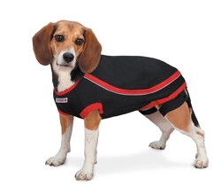 Kong - Kong Anksiyete Giderici Köpek Elbisesi XS