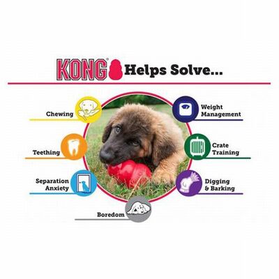 Kong Classic Kauçuk Köpek Oyuncağı XL 13 Cm 