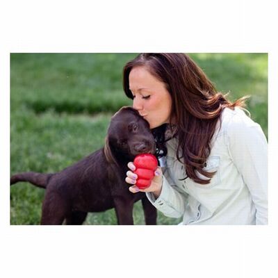 Kong Classic Kauçuk Köpek Oyuncağı XL 13 Cm 