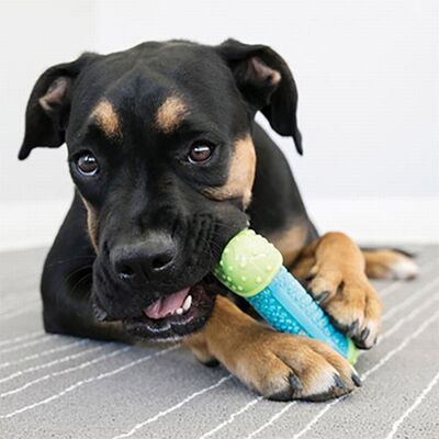 Kong Core Strength Plastik Köpek Çiğneme Oyuncağı 6 Cm 