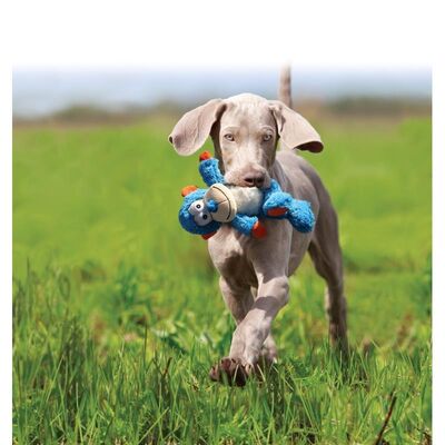 Kong Cross Knots Monkey Maymun Peluş Köpek Oyuncağı S-M