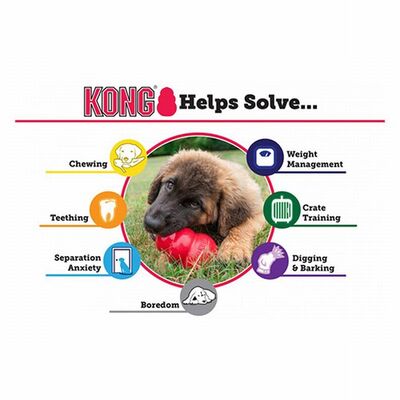 Kong Extreme Kauçuk Köpek Oyuncağı Large 10 Cm 