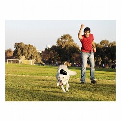 Kong Extreme Kauçuk Köpek Oyuncağı XL 13 Cm - Thumbnail