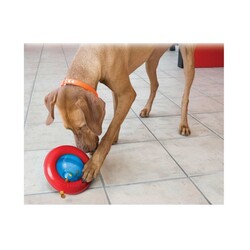 Kong Gyro Ödüllü İnteraktif Köpek Oyuncağı Large - Thumbnail