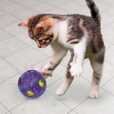Kong Bat-A-Bout Kedi Otlu Işıklı ve Hareketli Top Kedi Oyuncağı 