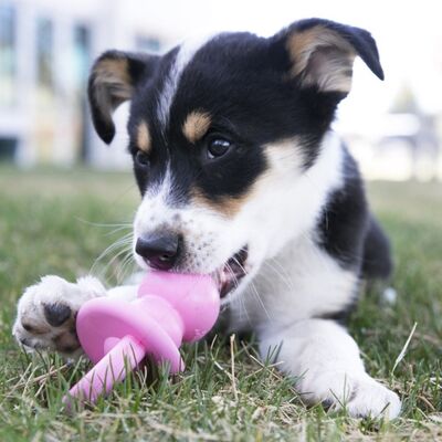 Kong Puppy Emzik Yavru Köpek Diş Kaşıma Oyuncağı Medium 13,5 Cm