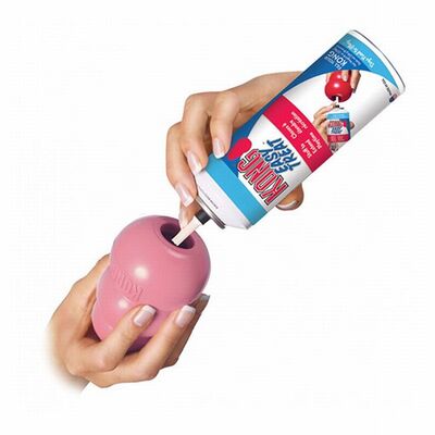 Kong Puppy Kauçuk Byük Irk Yavru Köpek Oyuncağı Large 10 Cm 