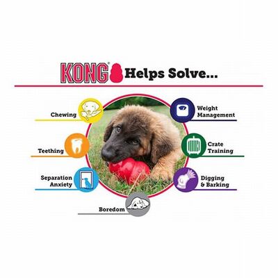Kong Puppy Kauçuk Küçük ve Orta Irk Yavru Köpek Oyuncağı Medium 9 Cm 