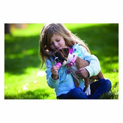 Kong Puppy Kauçuk Küçük ve Orta Irk Yavru Köpek Oyuncağı Medium 9 Cm 