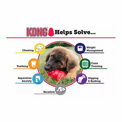 Kong Puppy Kauçuk Küçük Irk Yavru Köpek Oyuncağı XS 6 Cm 