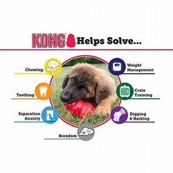 Kong Senior Yaşlı Köpek Oyuncağı Medium - Thumbnail