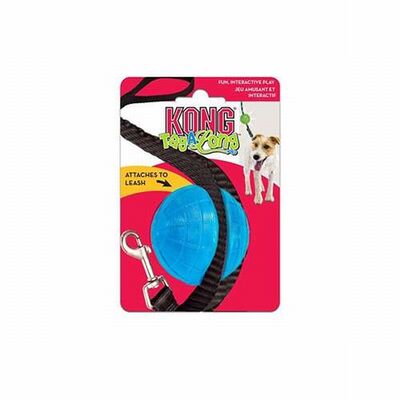Kong TagAlong Gezdirme Kayışına Asılabilir Top Köpek Oyuncağı Medium 