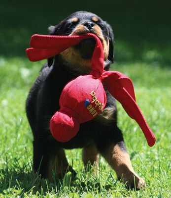 Kong Wubba Sesli Kumaş Köpek Oyuncağı Large 34 Cm