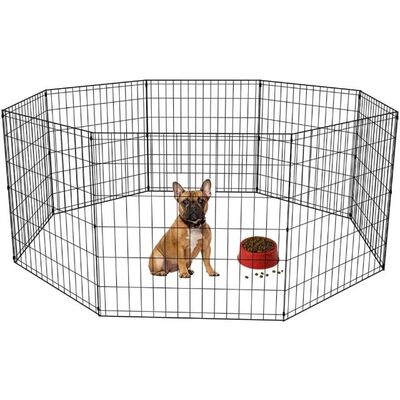 Köpek Çiti Nedir? Ne İşe Yarar?