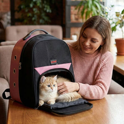 Lepus Astronot Kedi ve Köpek Taşıma Çantası Pembe 