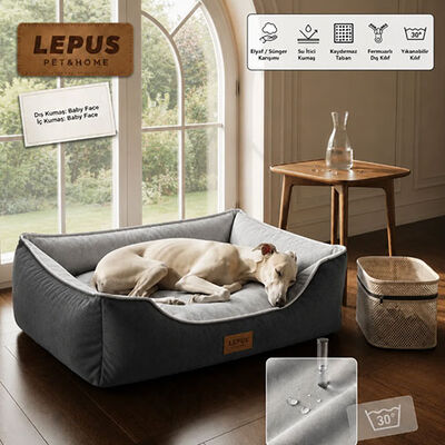 Lepus Dolce Premium Kedi ve Köpek Yatağı Antrasit Small 