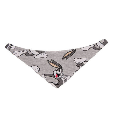 Lepus Fularlı Köpek Boyun Tasması No:2 Medium 