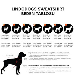 Lindodogs Sydney Köpek Sweatshirt Beden 1 - Thumbnail