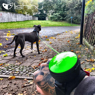 Lishinu Yeşil Bungee Akıllı Kontrol Köpek Gezdirme Tasması Large 13-40 Kg 