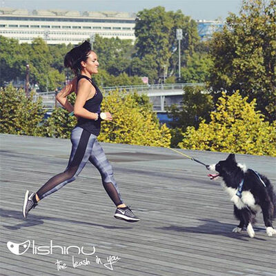 Lishinu Yeşil Bungee Akıllı Kontrol Köpek Gezdirme Tasması Large 13-40 Kg 