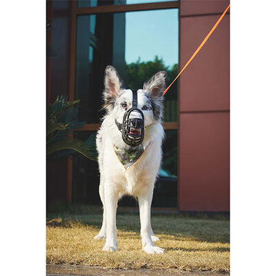 M-Pets Bark Guard Köpek Ağızlığı Sarı Siyah Large 19x14x9 Cm 