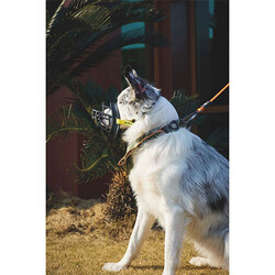 M-Pets Bark Guard Köpek Ağızlığı Sarı Siyah Large 19x14x9 Cm - Thumbnail