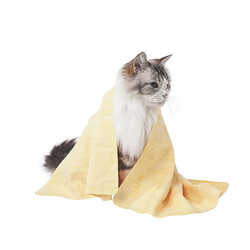 M-Pets Bathtime Hızlı Kuruyan Kedi ve Köpek Havlusu Sarı 64x43 Cm - Thumbnail
