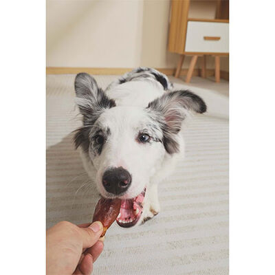 M-Pets Bbq Kings Rib Bites Tavuklu Stick Köpek Ödül Maması 115 Gr 