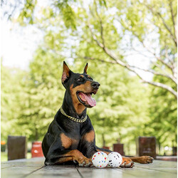 M-Pets Bloom Ball Parçalanmaz Top Köpek Oyuncağı Beyaz 7 Cm - Thumbnail