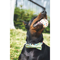M-Pets Bloom Ball Parçalanmaz Top Köpek Oyuncağı Beyaz 7 Cm - Thumbnail