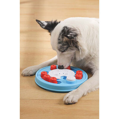 M-Pets Brainy Games Da Vinci Puzzle 2.Seviye Köpek Eğitim Oyuncağı 14x13,5x3 Cm 