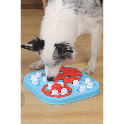 M-Pets Brainy Games Galileo Puzzle 3.Seviye Köpek Eğitim Oyuncağı 32,5x32,5x6,5 Cm 
